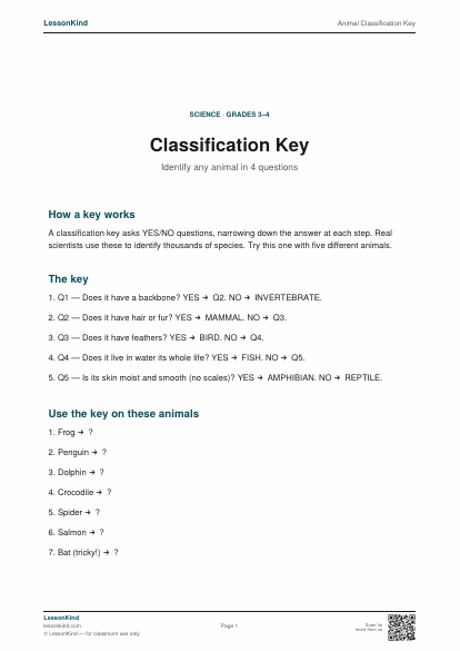 Preview of Animal Classification Key