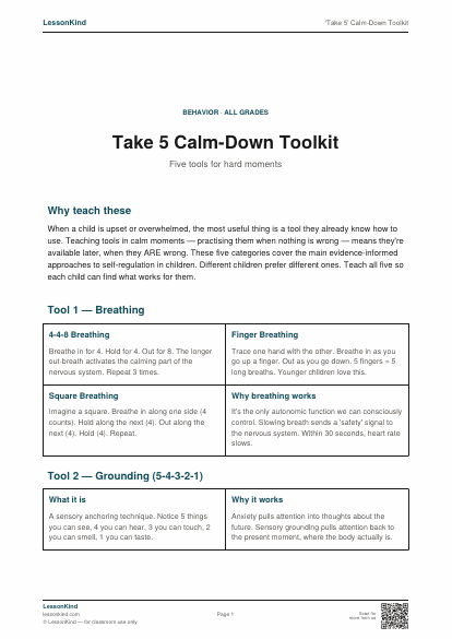 Preview of 'Take 5' Calm-Down Toolkit