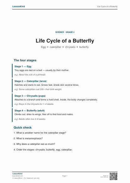 Preview of Life Cycle of a Butterfly