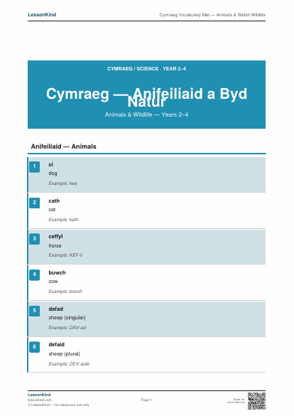 First page preview of Cymraeg Vocabulary Mat — Animals & Welsh Wildlife
