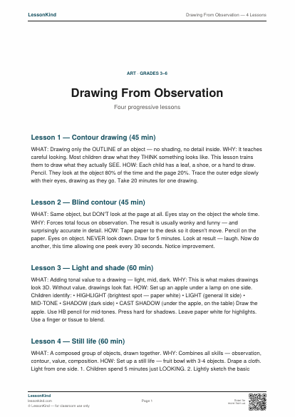 Preview of Drawing From Observation — 4 Lessons