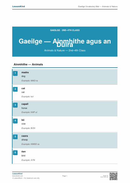 First page preview of Gaeilge Vocabulary Mat — Animals & Nature