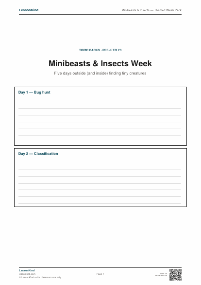 Preview of Minibeasts & Insects — Themed Week Pack