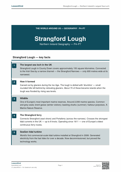 Preview of Strangford Lough — Northern Ireland's Largest Sea Loch