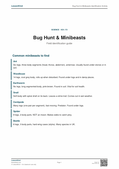 Preview of Bug Hunt & Minibeasts Identification Activity