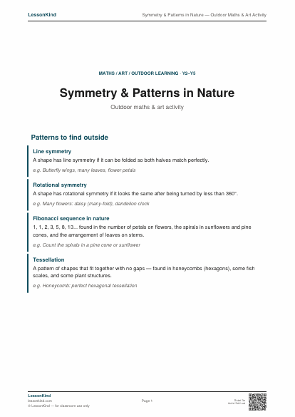 Preview of Symmetry & Patterns in Nature — Outdoor Maths & Art Activity