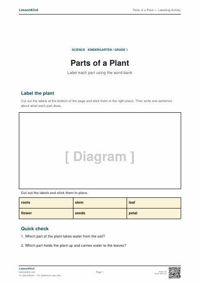 Preview of Parts of a Plant — Labelling Activity