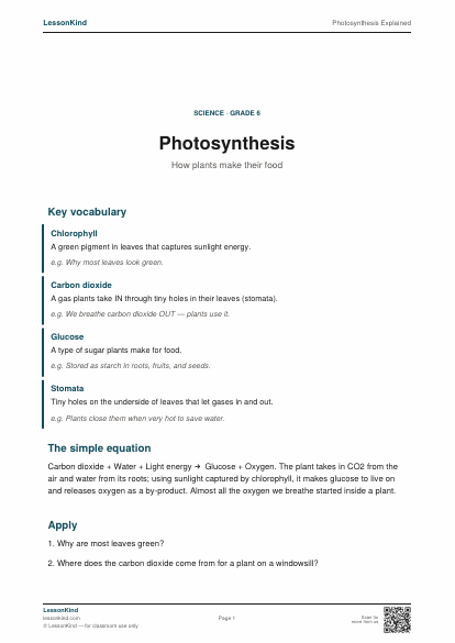 Preview of Photosynthesis Explained