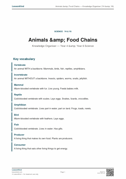 Preview of Animals &amp; Food Chains — Knowledge Organiser (Y4 &amp; Y6)