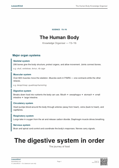 Preview of The Human Body Knowledge Organiser