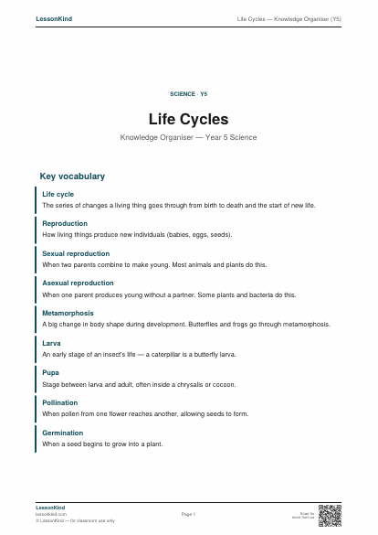Preview of Life Cycles — Knowledge Organiser (Y5)