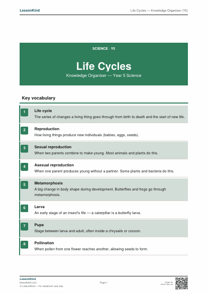 Preview of Life Cycles — Knowledge Organiser (Y5)