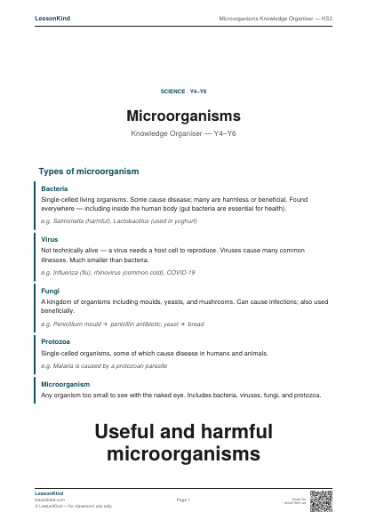 Preview of Microorganisms Knowledge Organiser — KS2