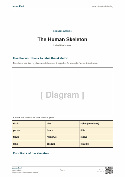 Preview of Human Skeleton Labelling