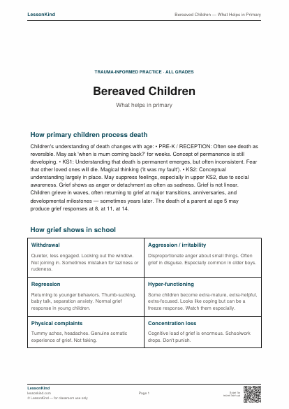 Preview of Bereaved Children — What Helps in Primary